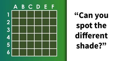 See If You Still Have The Eyesight To Tell The Difference Between These 18 Subtle Shades