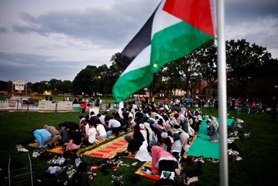 Requests for US legal aid linked to Palestine activism far surpass pre-2023 levels