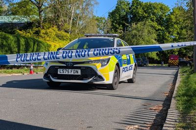 Boy, 17, admits arson attack at London synagogue