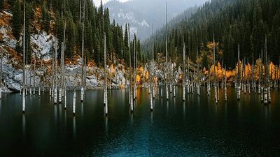 This Central Asian destination is growing its national parks and adventure offerings