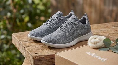Allbirds Exits Shoes, Pivots to AI With NewBird Rebrand