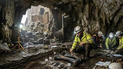 Prehistoric cave hidden beneath Pembroke Castle reveals 120,000 years of human and animal history