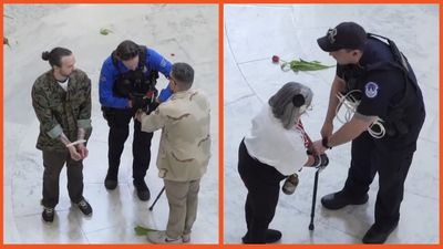 ‘These are the REAL PATRIOTS!’: Military veterans arrested by Capitol police after taking a stand against Trump’s war on Iran