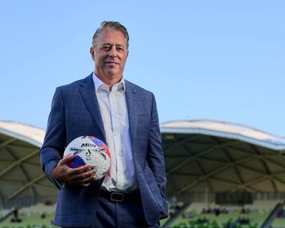 Arresting the decline of A-League crowds is top of to-do list for new APL boss