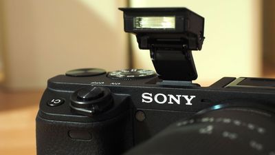 The mirrorless camera era has nearly killed off the once-common pop-up flash. Are cheap, compact flashes the answer?