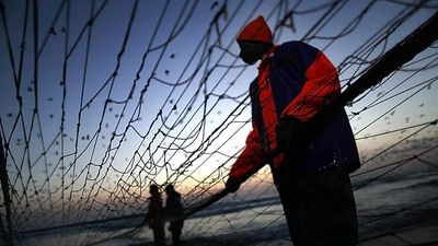 Acoustic tags and underwater robots help recover ghost fishing gear in Portugal