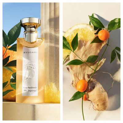 Bulgari’s Eau Parfumée Thé Impérial Is So Good, It Will Turn Citrus Haters Into Mega Fans