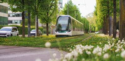 Green tram tracks cut heat and beautify cities. Why isn’t Australia doing it?