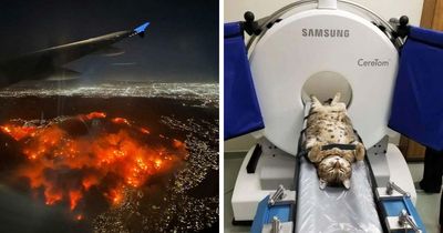 “Devil Sunrise”: 71 Interesting Photos That Might Show You Something You Haven’t Seen Before (New Pics)