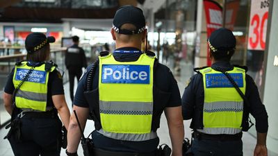 Crime fighting plan revealed as brawling teens charged