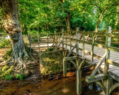 Winnie-the-Pooh’s 100th birthday is a great excuse to explore the Sussex forest that inspired the books