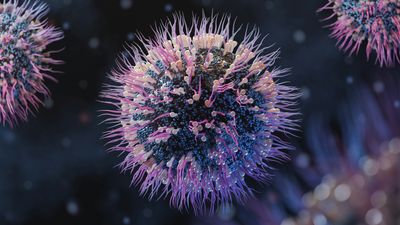 95% of People Carry Epstein-Barr Virus—Scientists Report Major New Treatment Breakthrough