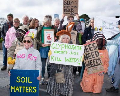 Fury in Cornwall over herbicide plan to tackle weeds