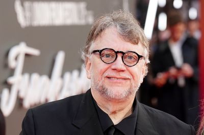 Director Guillermo del Toro recognised for ‘extraordinary’ contribution to film