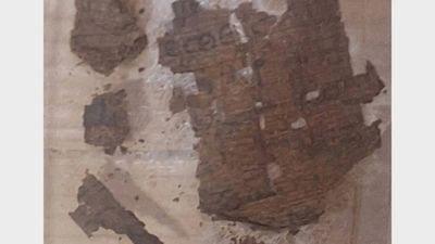 What lies inside a 1,600-year-old mummy: The shocking discovery of Homer’s Iliad fragment sealed within a Roman-era Egyptian burial