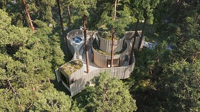 Sweden’s famed Treehotel is getting a new suite – here’s what to expect