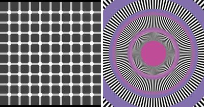 Neuroscience Unplugged: The Ultimate Roundup Of Brain-Bending Optical Illusions