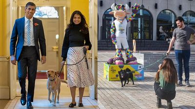 UK pet travel rules: British owners now need new health certificate for every Europe trip