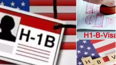 H-1B visa holders harassed by influencers: Immigration attorneys say 'don't open the doors, you are not...'