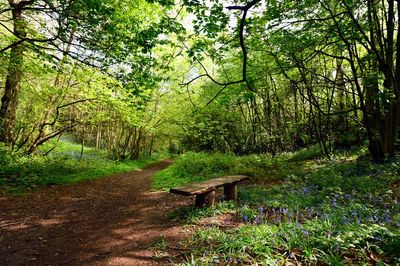 Call of the wild: London’s affordable countryside hotspots