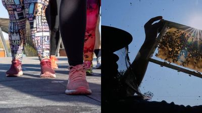 Bees need weeds: Cornwall pauses pavement weedkiller plan after outrage over harm to wildlife