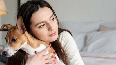 What Your Dog Does When You’re Not Okay Might Surprise You