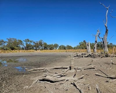 Governments failed to deliver $160m of river improvements including for now-parched NSW wetlands, report finds