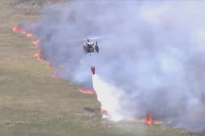 Wildfires across Georgia and Florida have destroyed nearly 50 homes and are forcing evacuations