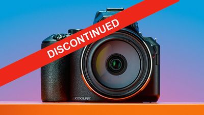 This 83x zoom camera is disappearing – a popular go-to for budget wildlife and bird photography