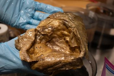 Scientists found a mysterious ‘golden orb’ two miles beneath the surface of the ocean. Now they’ve worked out what it is