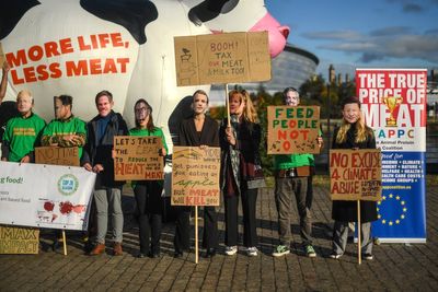 ‘Climate-neutral’ milk to solar-powered factories: How meat and dairy giants greenwash their image