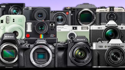 Are you a full-frame snob or compact camera hipster? Take my personality quiz to find out what brand of camera you should actually be using!