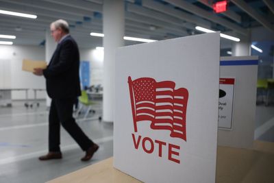 Woman pleads guilty to registering her dog to vote in California election