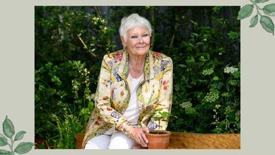 Dame Judi Dench makes heartfelt admission about how her garden provides ‘hope and joy’ despite her deteriorating eyesight