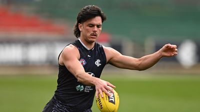 Carlton formally report to AFL over Hollands incident