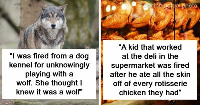 103 Bosses Share The Funniest And Weirdest Reasons They Had To Fire Someone