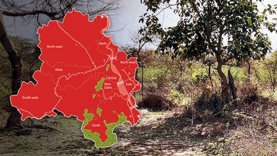 Delhi Ridge: Can Master Plan 2041 safeguard the city’s lungs?