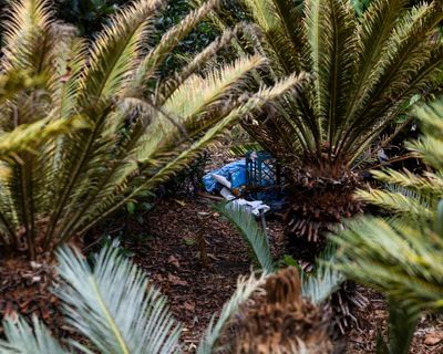 Sydney business body calls for complete overhaul of homelessness response after ‘disturbingly lonely and tragic death’