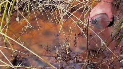 Oily orange water result of mine pollution, court told