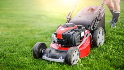 This is the reason why your lawn mower grass cuttings are clumping — and the simple fix to solve it