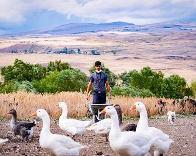 TV tonight: the heat is on in Race Across the World