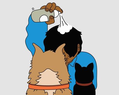 You be the judge: my partner’s hair cream is toxic for our pets. Should he give it up?