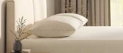 Birch Organic Pillow Review: Natural latex makes this a top choice for cool, supported sleep
