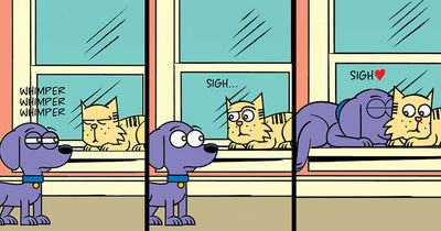 30 New Comics About My Dog And Cat, Who Couldn’t Be More Different If They Tried