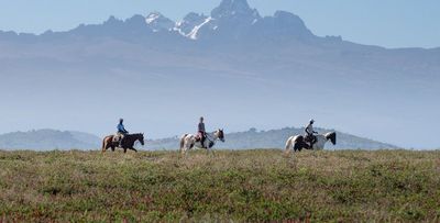 The safari that taught me to step out of the Land Rover