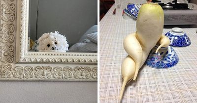 This Page Shared 60 Strange Moments When People Saw Faces In Everyday Things (New Pics)