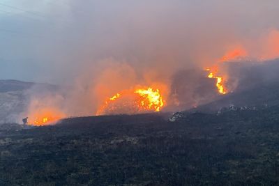 Wildfire warning as ‘extreme’ risk alert issued for parts of UK this weekend