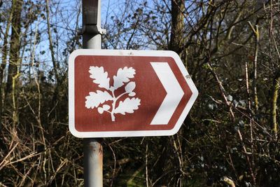 Blow to tourists as National Trust closes dozens of holiday cottages across England, Wales and Northern Ireland