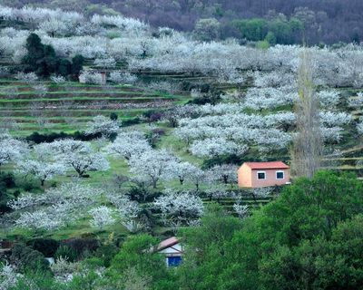 Spanish conservatives revive regional pacts with far-right Vox party