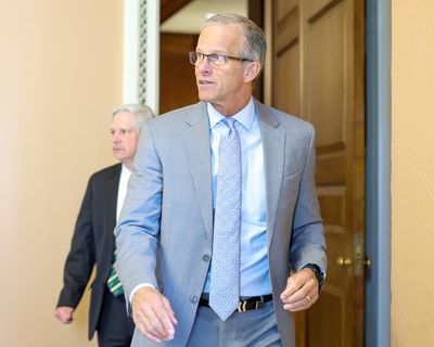 Former inspector general urges audit of Epstein files release be conducted ‘without undue influence’ – as it happened